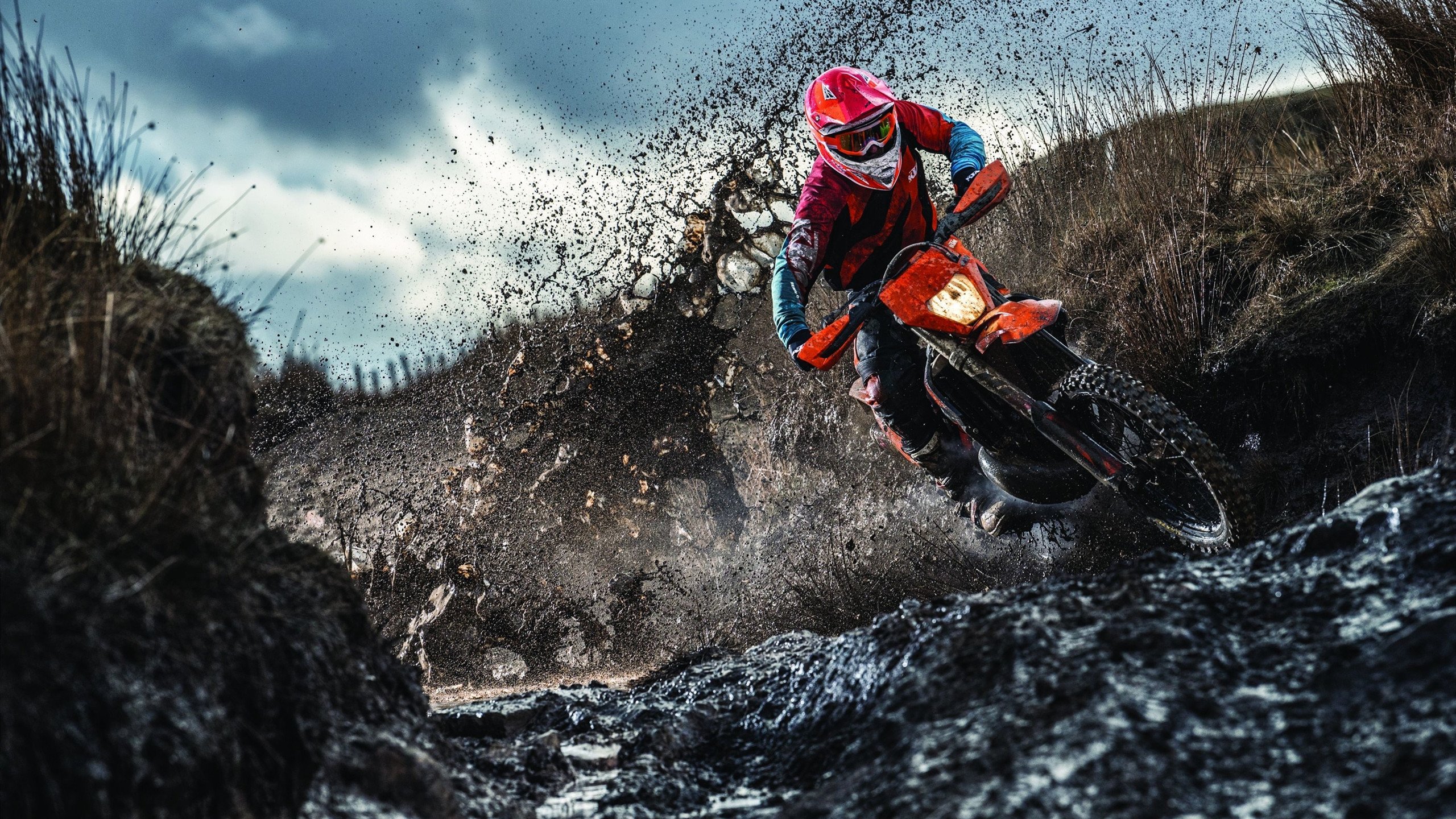 四分卫表现解析:谁能成为本赛季MVP候选?,四分卫nba