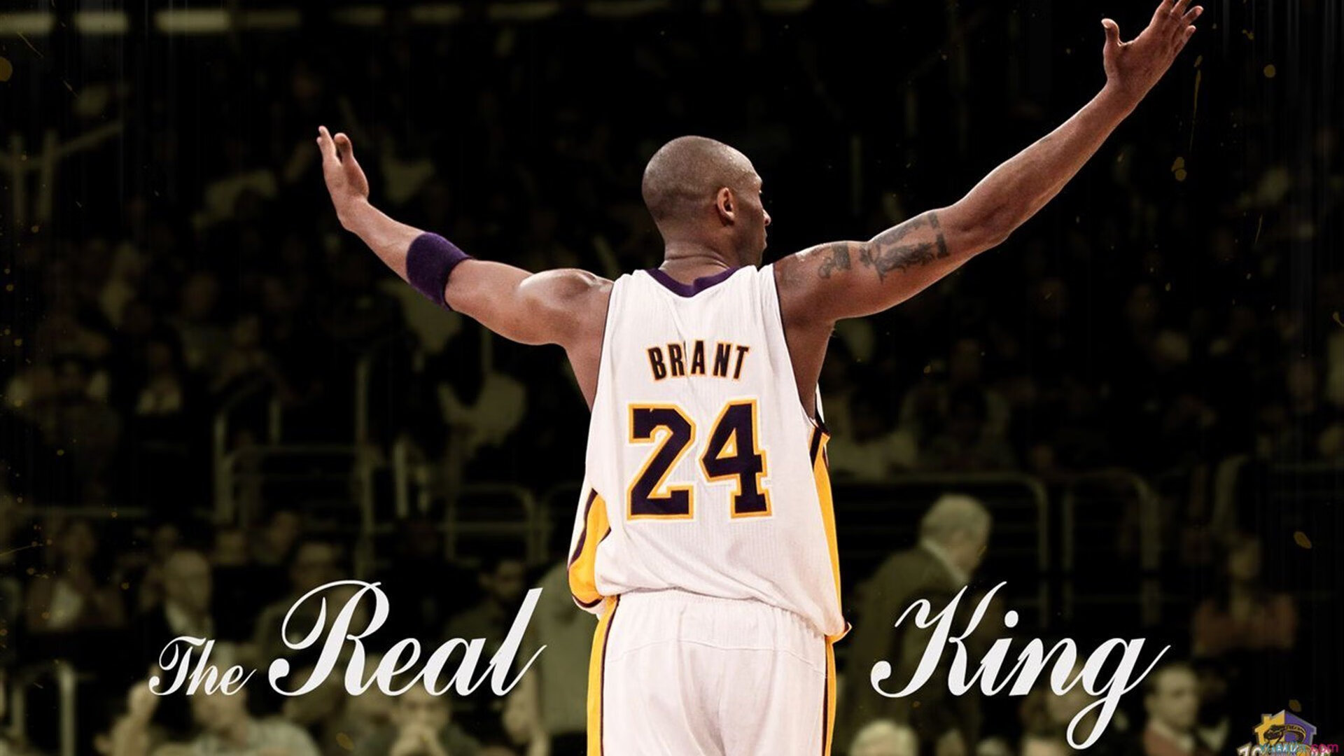 世界杯历届冠军统计，世界杯历届冠军次数排名